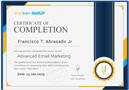 Advance Email Marketing Certified