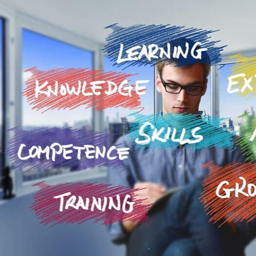 Skills & Expertise Key Cpmpetencies